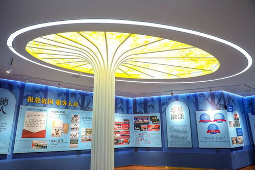 光影交織的傳承之路 上海交大醫(yī)學(xué)院院史館新館以多媒體設(shè)計重塑七十載記憶